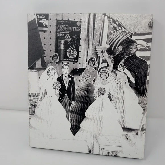 Bruce Springsteen The Ties That Bind The River Collection Box Set CD DVD Book - Picture 10 of 16